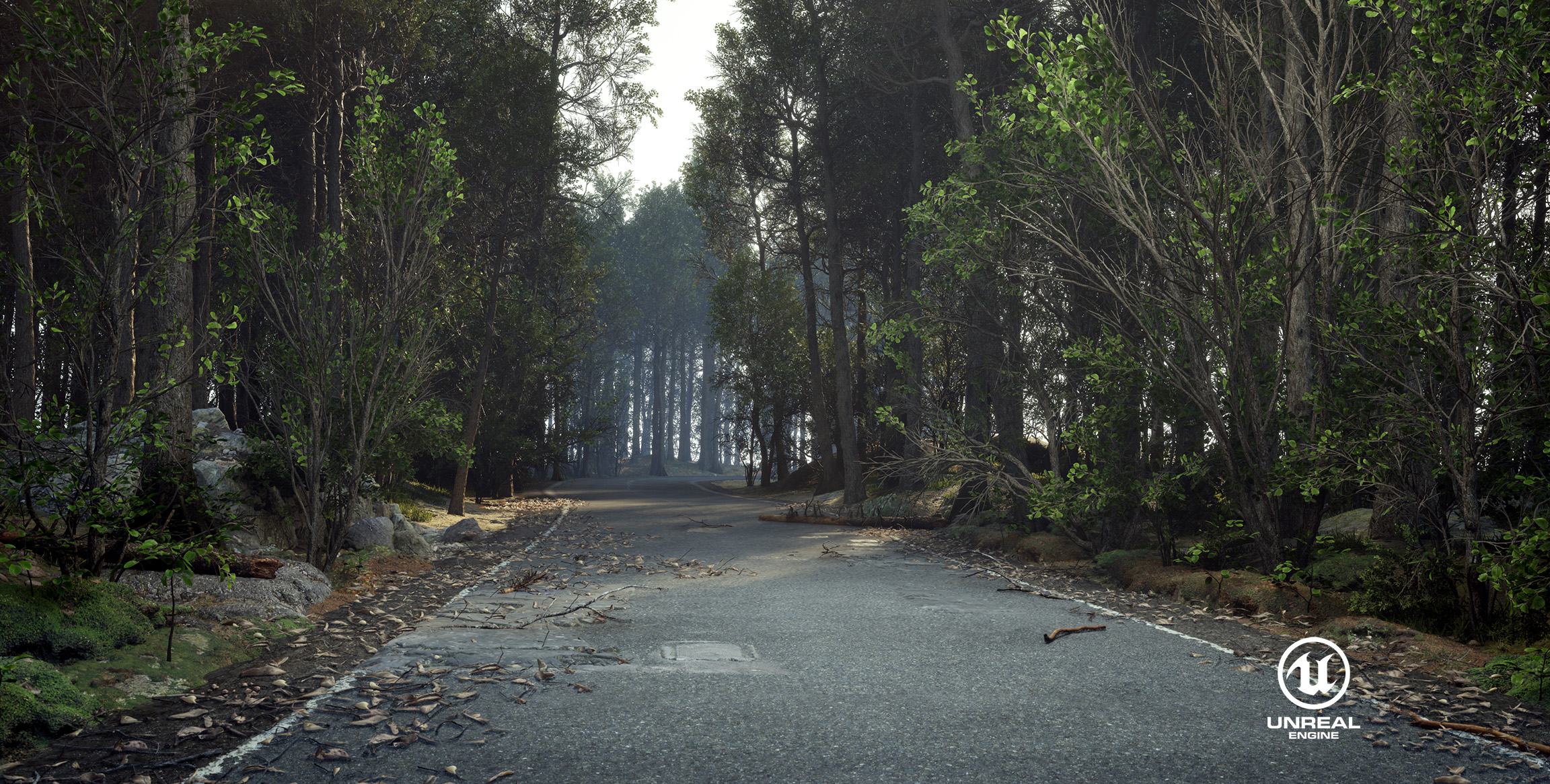 Forest road